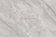 Gạch Ốp Lát APODIO 66284041